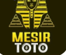 Visitorbet screenshot