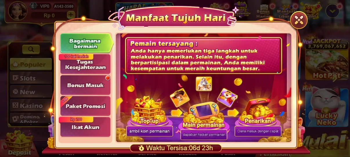 EVIP2 screenshot