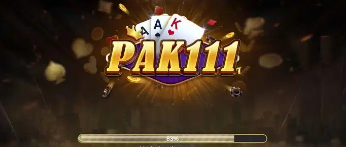 Pak 111 screenshot