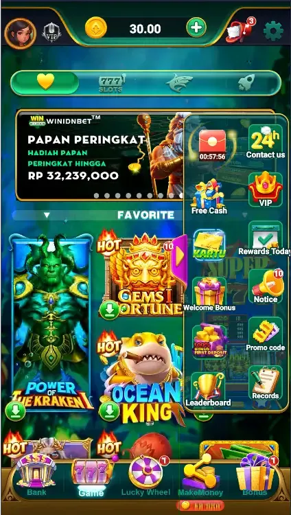 WIN IDN screenshot