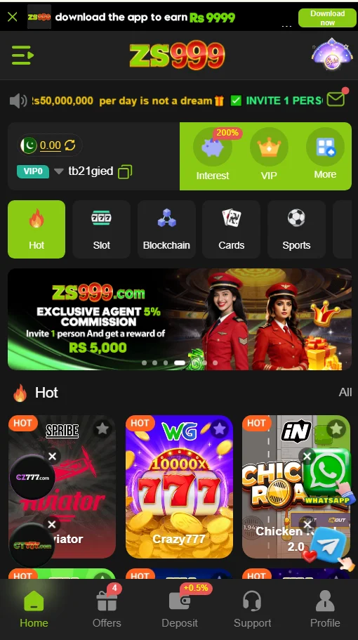 ZS999 screenshot