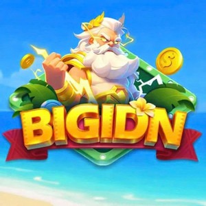 BIGIDN