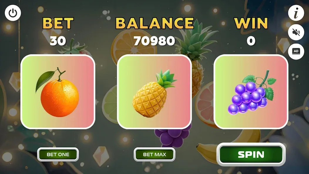 Fortune Winner screenshot