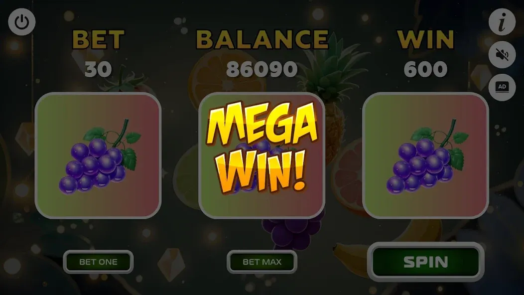 Fortune Winner screenshot
