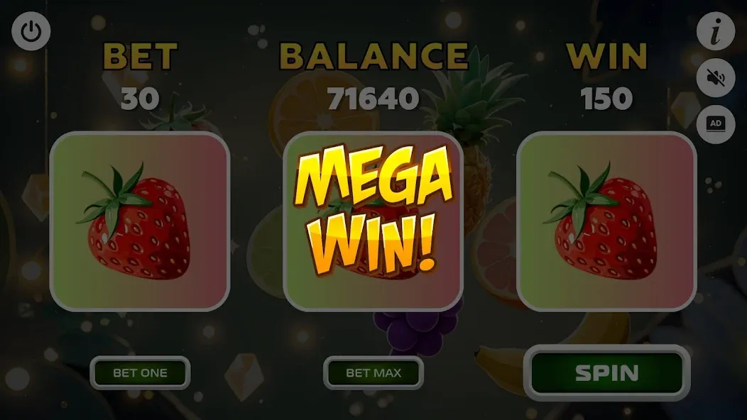 Fortune Winner screenshot