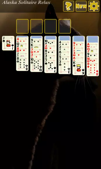 Alaska Solitaire Relax screenshot