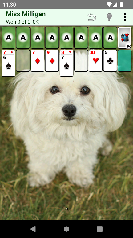 Patience Revisited Solitaire screenshot