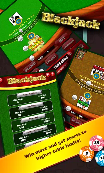 Black Jack screenshot