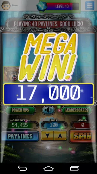 Wolf Chase Slots Machine screenshot