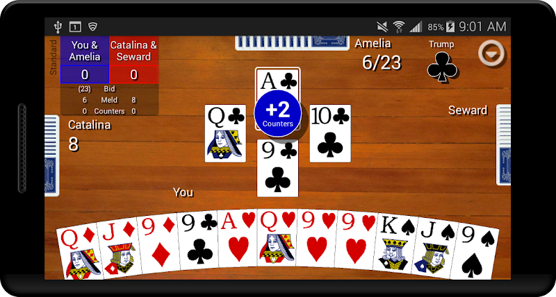 Pinochle Classic screenshot