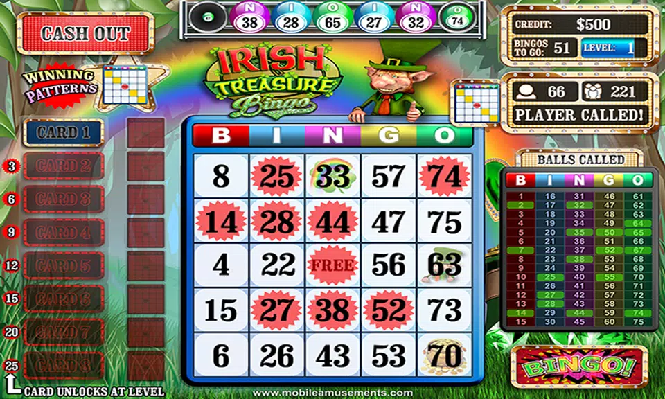 Irish Treasure Bingo screenshot